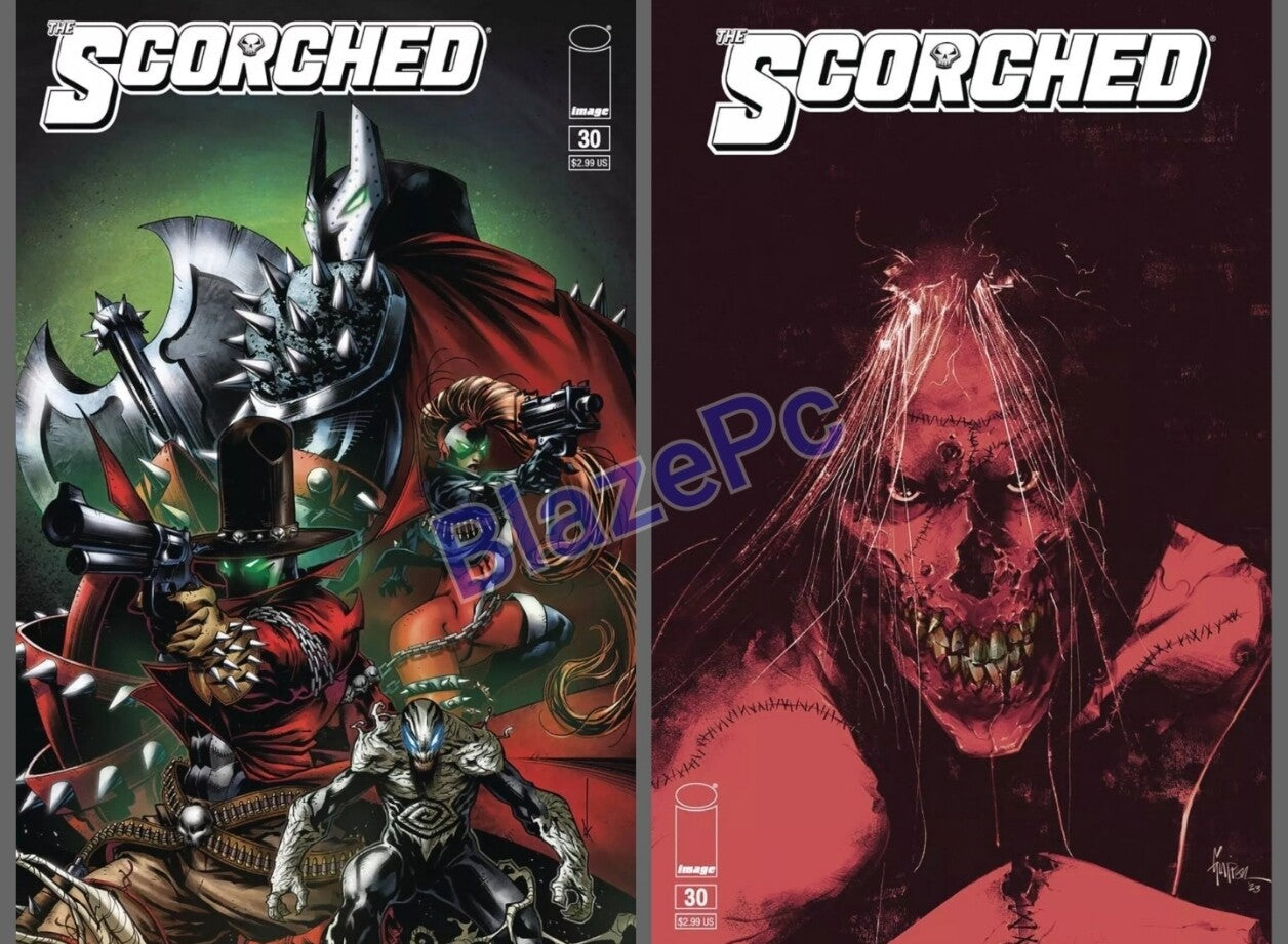 The Scorched #30 Cover A B Variant Set Options Spawn Image 2024 NM