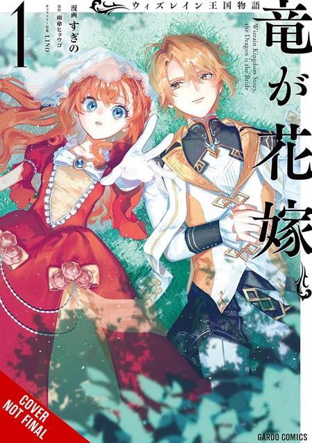 TALE OF THE WIZRAIN KINGDOM THE DRAGON IS THE BRIDE TP VOL 01