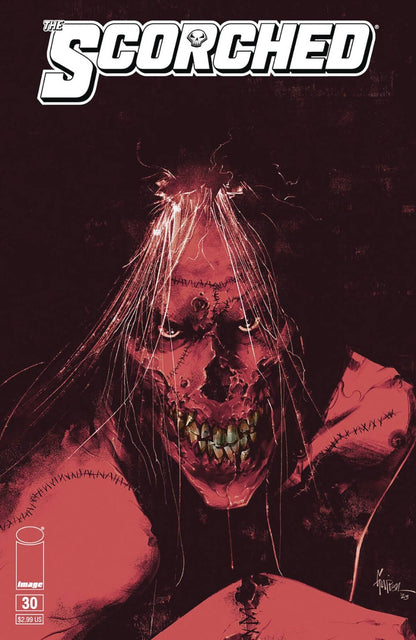 The Scorched #30 Cover A B Variant Set Options Spawn Image 2024 NM