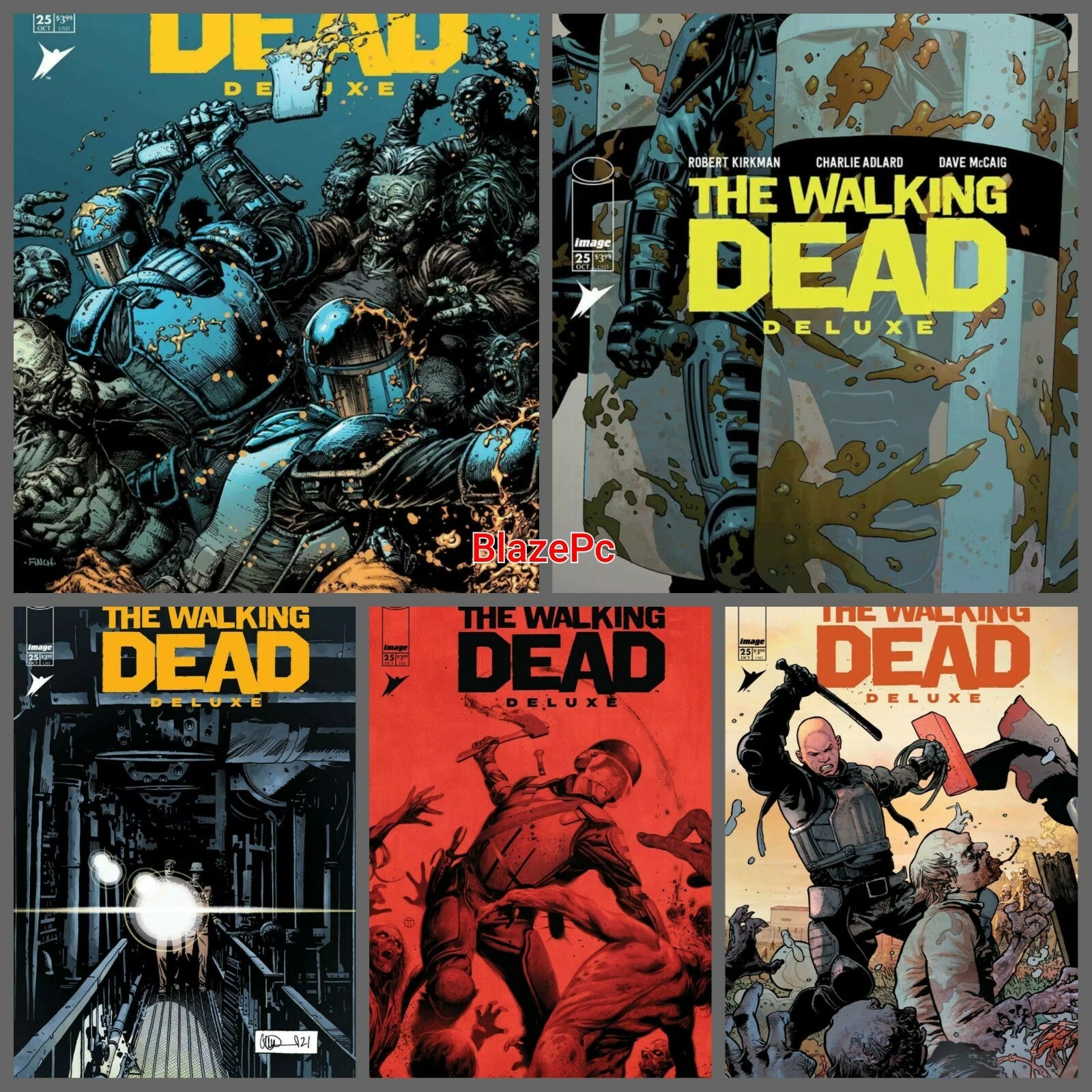 Walking Dead Deluxe #25 Cover A B C D E Variant Set Options Image Comics NM