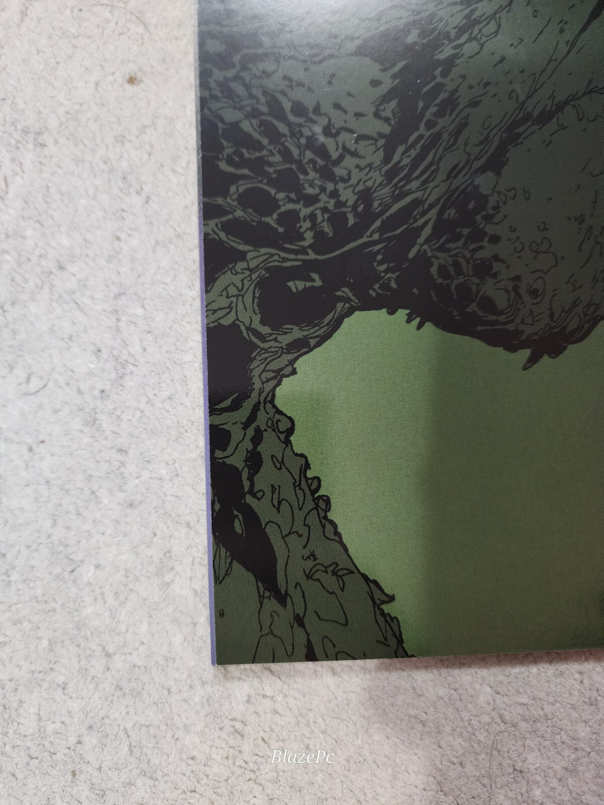 SWAMP THING: GREEN HELL #1 1:25 VARIANT DC Comics 2021 NM HTF Lots Of Pics