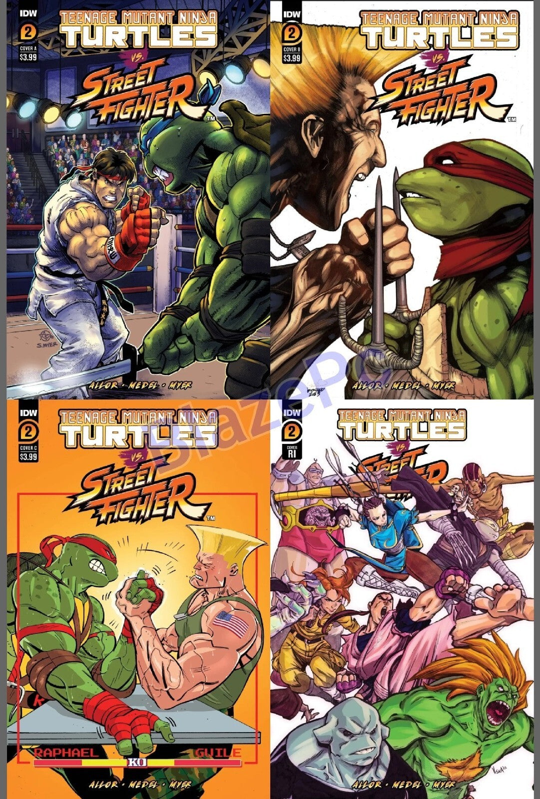 TMNT Vs Street Fighter #2 Cover A B C Variant Set or 1:25 Options IDW 2023 NM