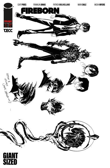 Fireborn #1 Cover A B C D E K L M N O Variant Set 1:15 25 50 Option Presale 4/15