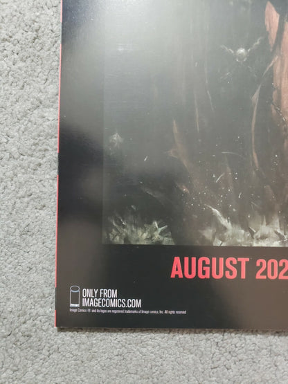 Spawn Universe #1 1:50 Booth Incentive Variant Image Comics NM Lots of Pics