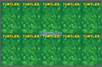 Teenage Mutant Ninja Turtles #13 Blind Bag Bundle F Options 2025 Presale 12/10