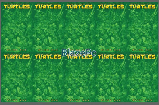 Teenage Mutant Ninja Turtles #13 Blind Bag Bundle F Options 2025 Presale 12/10