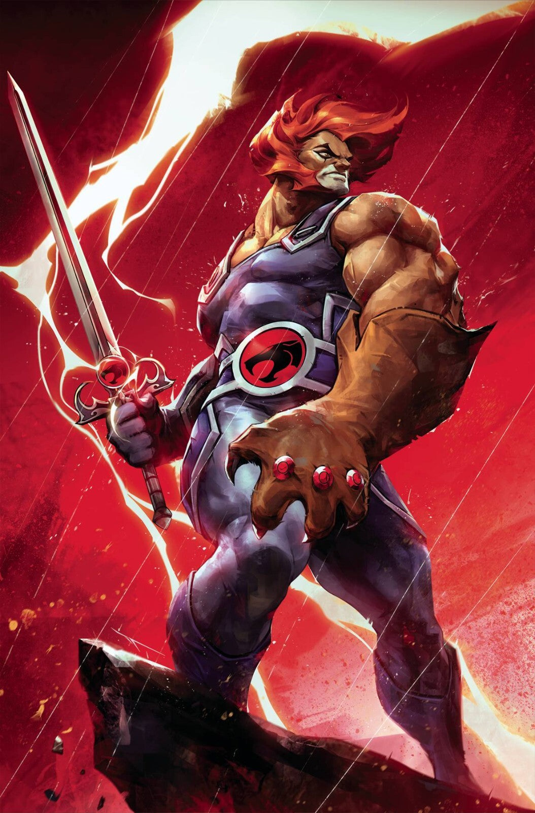 Thundercats #2 1:10 :15 :25 :30 :40 :50 Ratio Variant Options 2024 NM