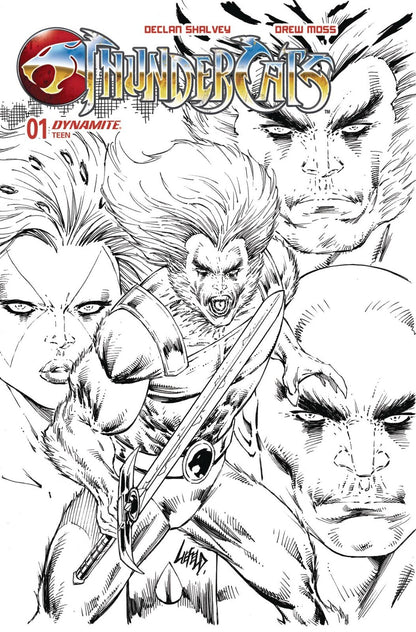 Thundercats #1 1:10 :15 :25 :40 :50 :60 :75 :100 :150 Variant Options 2024 NM