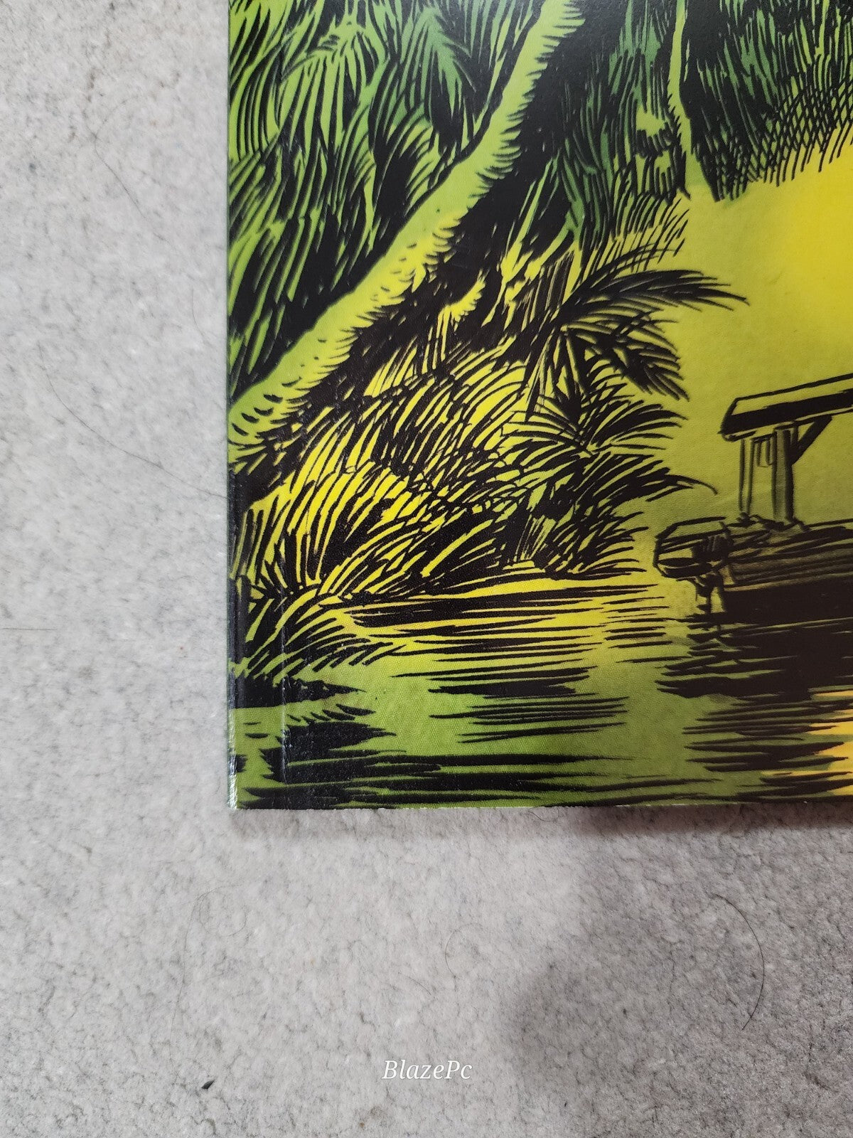 SWAMP THING: GREEN HELL #1 1:25 VARIANT DC Comics 2021 NM HTF Lots Of Pics