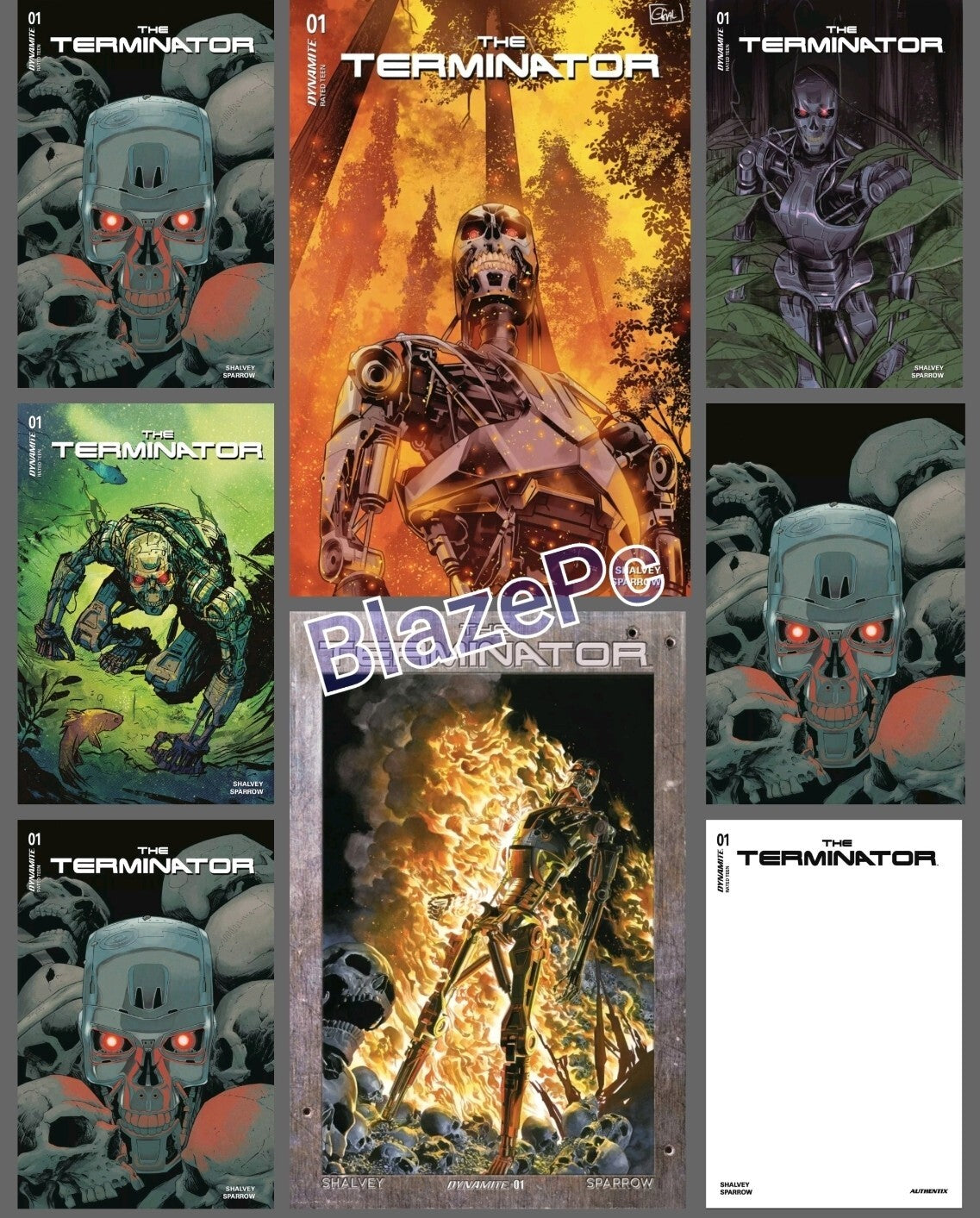 The Terminator #1 Cover A B C D E F G H Foil Variant Set Option Dynamite 2024 NM