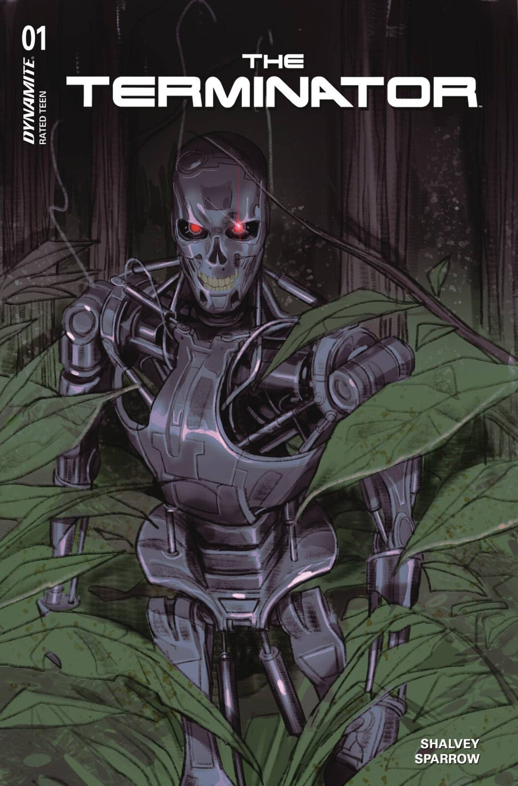 The Terminator #1 Cover A B C D E F G H Foil Variant Set Option Dynamite 2024 NM
