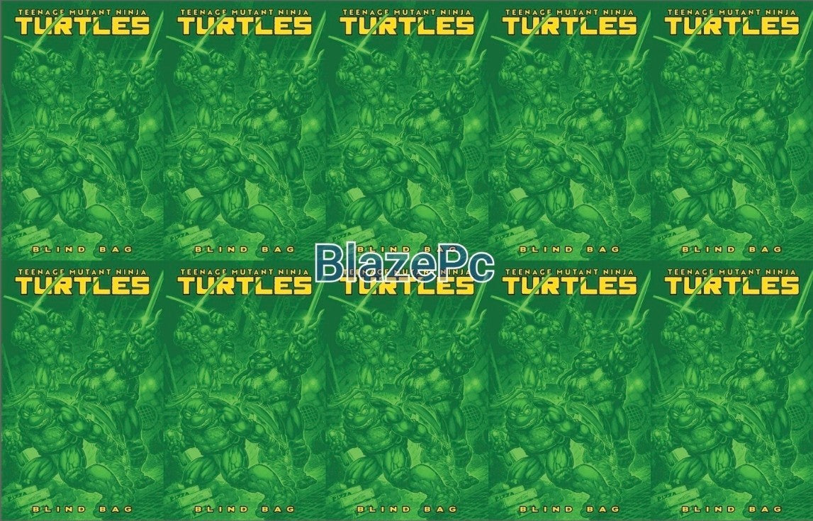 Teenage Mutant Ninja Turtles #13 Blind Bag Bundle F Options 2025 Presale 12/10