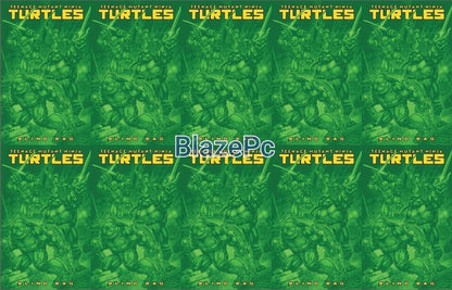 Teenage Mutant Ninja Turtles #13 Blind Bag Bundle F Options 2025 Presale 12/10