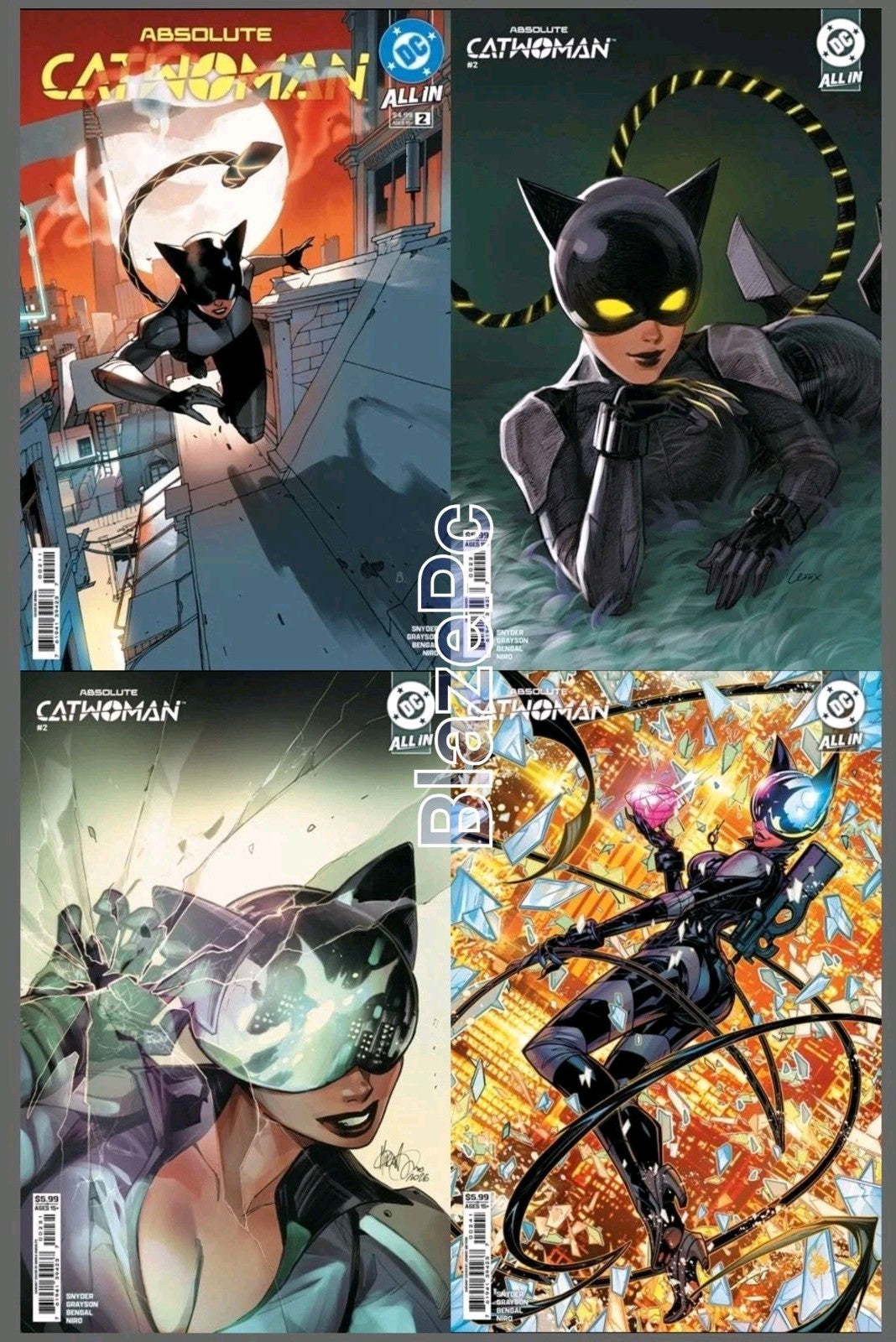 Absolute Catwoman #2 Cover A B C D Variant Set Options DC Comics Presale 7/8