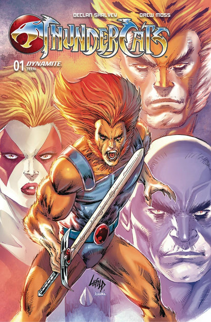 Thundercats #1 Cover A B C D E F G H I J ZC Variant Set Options Dynamite 2024 NM