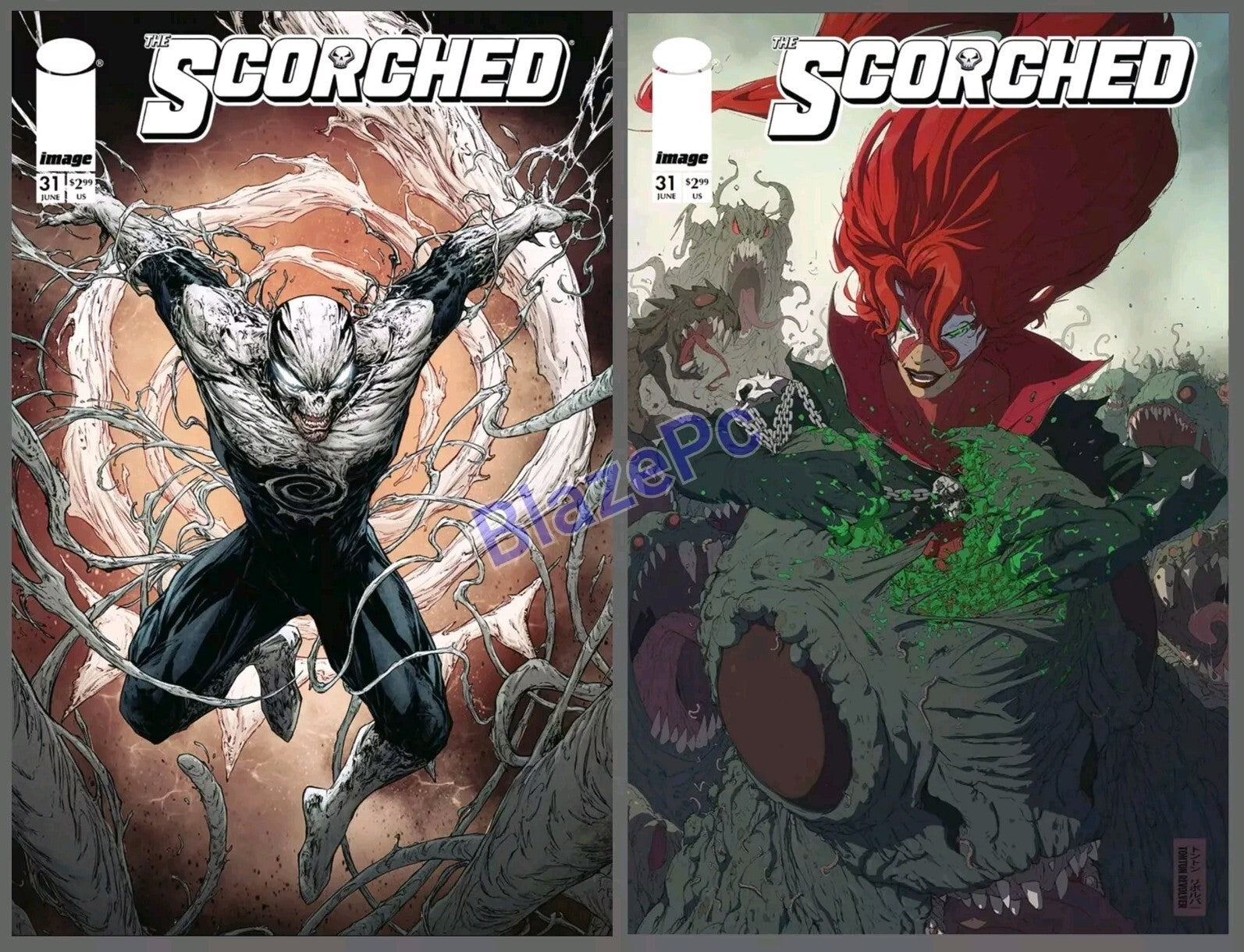 The Scorched #31 Cover A B Variant Set Options Spawn Image Comics 2024 NM