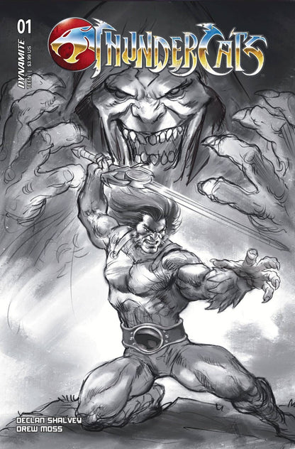 Thundercats #1 1:10 :15 :25 :40 :50 :60 :75 :100 :150 Variant Options 2024 NM